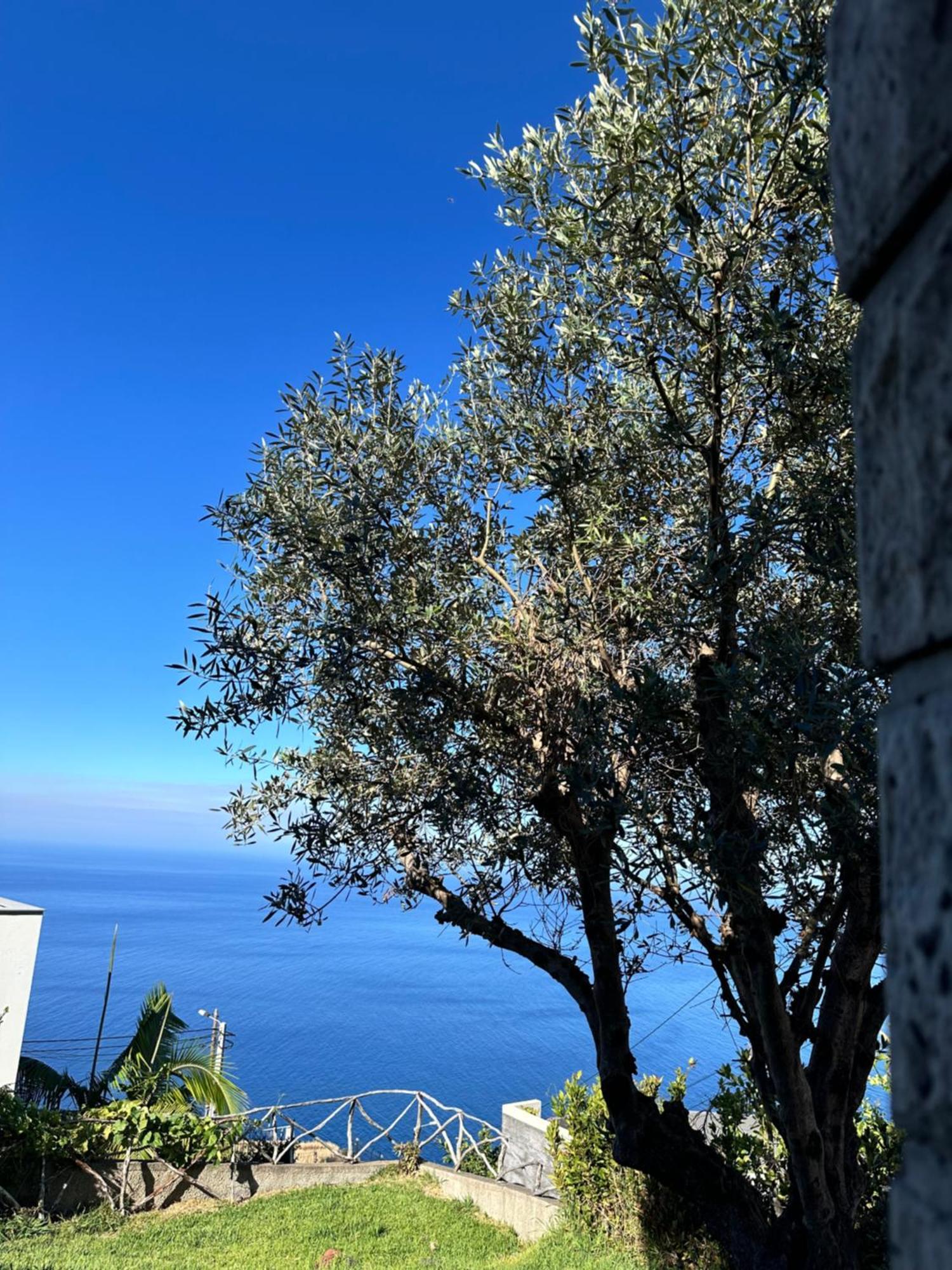 Cozy Sea View House Faja Da Ovelha Villa Calheta  Bagian luar foto